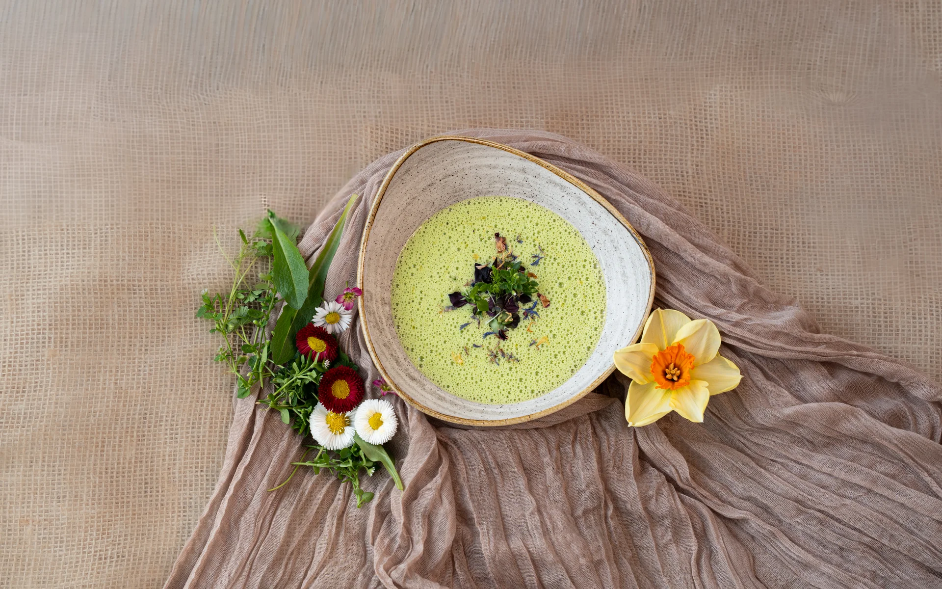 Grüne cremige Suppe in Schale mit Blüten und Kräutern dekoriert auf Stoff