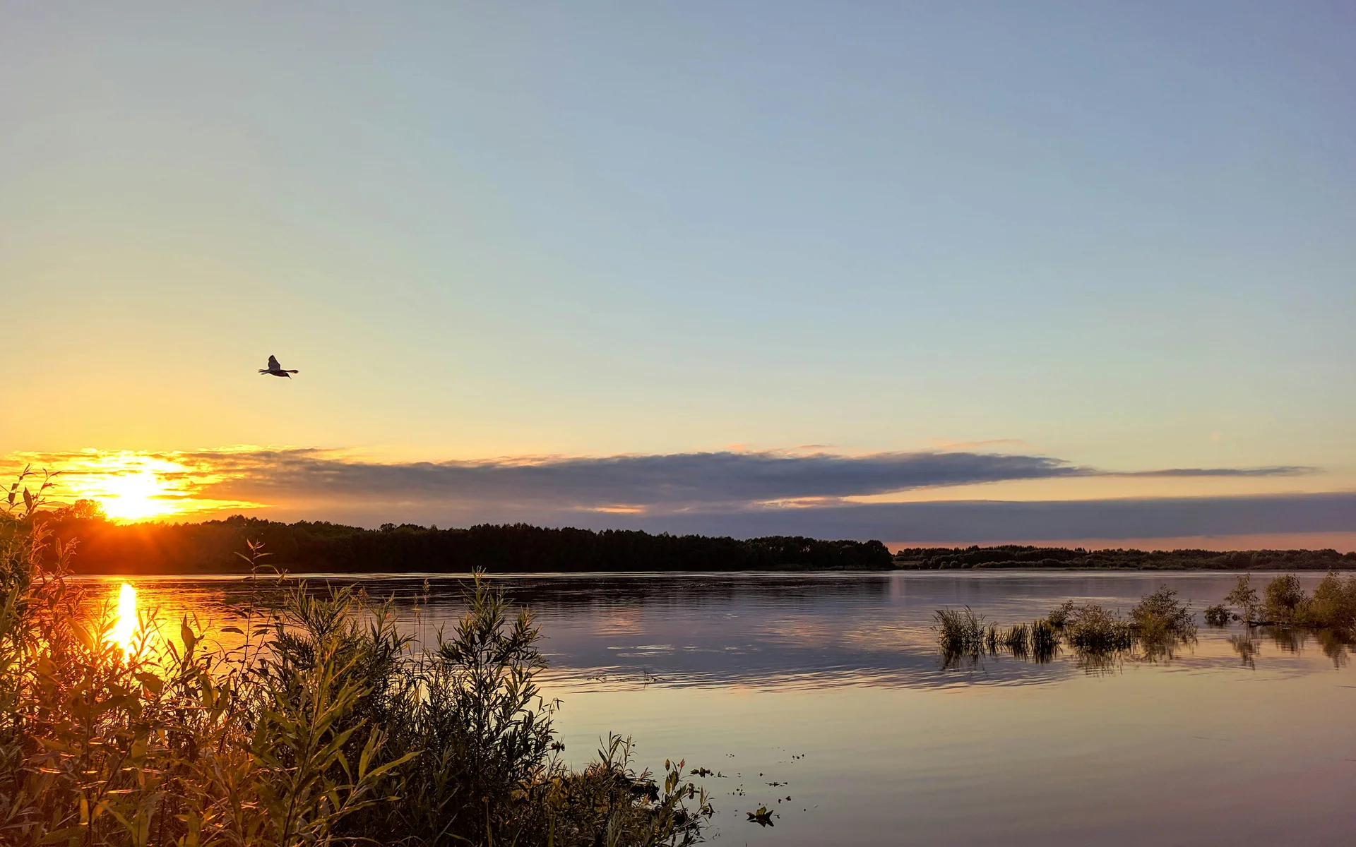 Adults-only-Hotel NILS am See am Nationalpark Neusiedler See