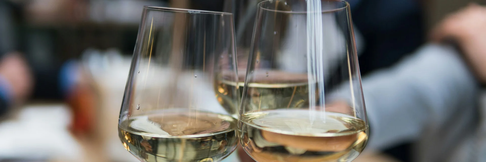 Weinstraße am Neusiedler See: Weingüter entdecken Drei Gläser Weißwein werden zum Anstoßen gehoben
